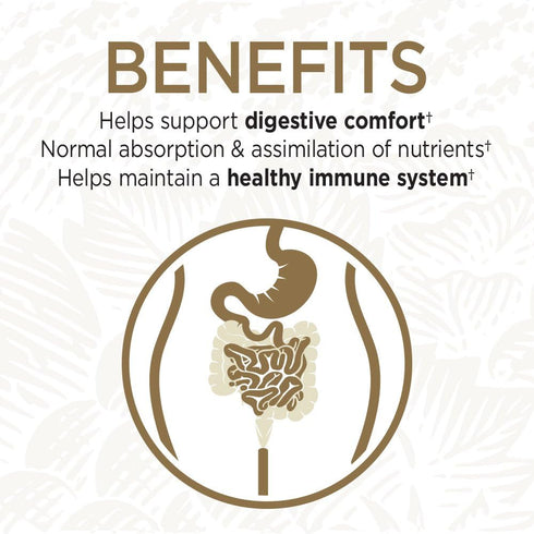 Garden of Life Primal Defense Ultra Probiotic Formula, 90 Capsules, Vegetarian and Gluten Free