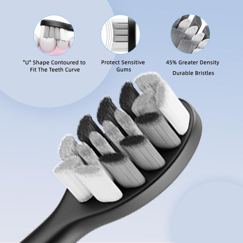 Set, 10 IPX8 2-Minute 42000 5 Seapeoa Sonic Electric Toothbrush Equipped with Brush Heads and Travel Case, Waterproof