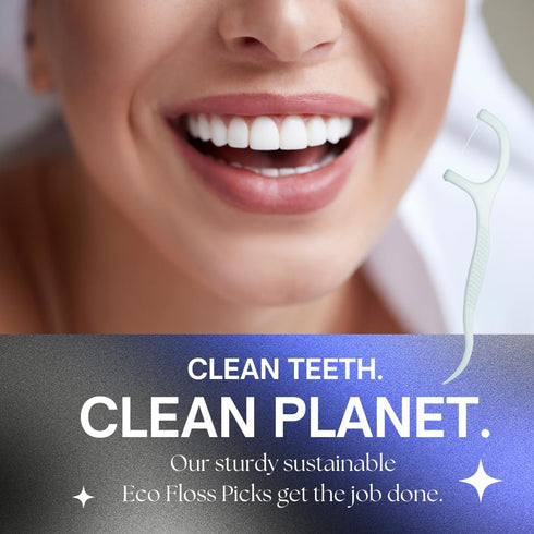 Floss Picks (6 Pack, 300 Pieces) Reusable Eco-Friendly Natural Bamboo Tooth Picks Flossers for Oral Care