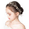 PRDGIRL Wedding Hair Accessories for Kids, Princess Headpiece White Flower Headband, Pearl Hair Dress for Girl and