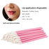 Pink Lip Wands Applicators Disposable, Vaincre 500PCS Lip Brush & Makeup Applicator Beauty Tool Kits