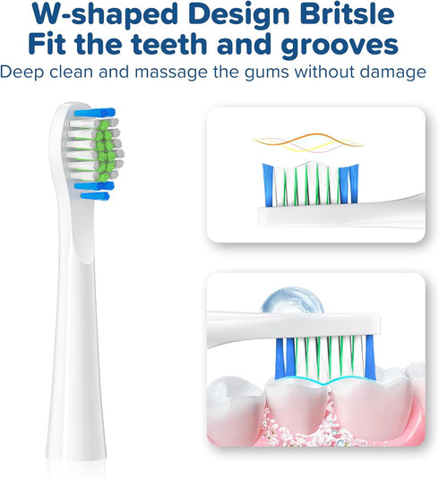 Replacement Toothbrush Heads 10 Pack for Bitvae Daily D2 Rechargeable Toothbrush, White Refills