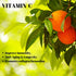 Roex Vitamins | Vitamin C Mineral Ascorbates | 180 Count, Anti-Aging, Healthy Immune System