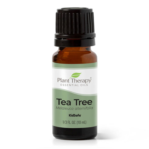 Plant Therapy Tea Tree Essential Oil 10 mL (1/3 oz), 100% Pure, Natural Aromatherapy