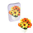 Angzhili 5Pcs/Set Intraoral Mirrors - Dental Photography Reflector Glass Occlusal Mirror Tool