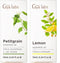 Petitgrain Essential Oil for Skin & Lemon Essential Oil for Diffuser Set