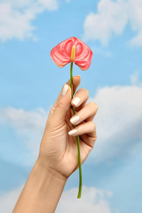 Nailtopia Bio-Sourced Chip Free Nail Lacquer - All Natural, Strengthening Polish - Quick-Dry, Long Lasting Wear - 0.41