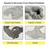 Resting Hand Straighten Splint, Night Finger Separator Support Rehab Training Supplies for Arthritis, Hemiplegia, Spasm