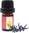 Essences Bulgaria Moldavian Dragonhead Essential Oil, 1/3 Fl Oz | 10ml, 100% Pure & Natural