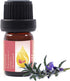Essences Bulgaria Moldavian Dragonhead Essential Oil, 1/3 Fl Oz | 10ml, 100% Pure & Natural