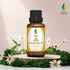 SVA Chamomile Essential Oil – 1/3 Fl Oz, 100% Natural for Diffuser, Hair Care, Face, Skin Care, Aromatherapy
