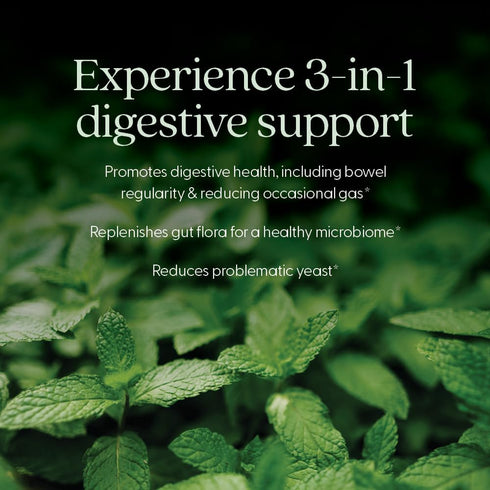 New Chapter Probiotic All-Flora, 30 ct for Advanced Digestion & Complete Gut Health, 100% Vegan, Non-GMO
