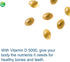 Nutra BioGenesis Vitamin D 5000 - Vitamin D3 5000 IU for Calcium Absorption and Immune Function - 90 Softgels