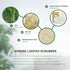 Natural Loofah Exfoliating Body Scrubber, 6 Pack Shower Sponge for Men and Women’s SPA