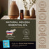 Gya Labs Melissa Essential Oil for Candle Making Scents - 0.34 Fl Oz Natural Melissa Oil