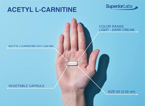 Superior Labs Acetyl L-Carnitine 1000mg, 200 Caps: Maximum Absorption, Pure Vegetable Capsules, Zero Synthetic Additives