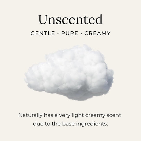 Little Seed Farm All Natural Deodorant Cream, Aluminum Free, 2.4 Ounce, Unscented for Women or Men