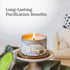 MAGNIFICENT 101 White Sage Smudge Candle, 6 Oz Soy Wax, 35-Hr Burn Time for Cleansing & Chakra Healing