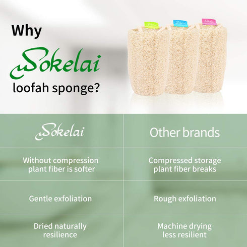 Natural Loofah Sponge, Organic Exfoliating Body Scrubber for Shower and Daily Skin Care