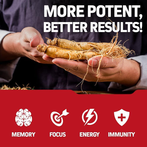 Herbtonics Korean Red Panax Ginseng 1500mg - Energy Supplement for Focus & Vitality - 120 Vegan Capsules