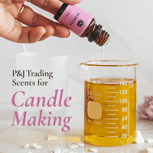 P&J Fragrance Oil Holiday Set - Mistletoe, Candy Cane, Wintermint, Apple Cider, Cranberry, Forest Pine Candle Scents