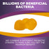 Probiotic Gummies for Digestive Health, 120 Gummies, 5 Billion CFUs, Orange Flavor for Immune Support