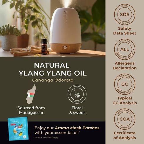 Gya Labs Ylang-Ylang Essential Oil for Diffuser, 0.34 Fl Oz, 100% Pure Natural for Skin, Hair Health, Aromatherapy