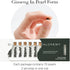 Red Ginseng Herbal Pearls - 70 Count Daily Immunity & Energy Supplement, Vegan, Gluten-Free, Made in Korea