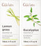 Lemongrass Essential Oil for Diffuser & Eucalyptus Essential Oil for Diffuser Set