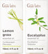 Lemongrass Essential Oil for Diffuser & Eucalyptus Essential Oil for Diffuser Set