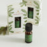 Thymes Frasier Fir Electric Oil Diffuser Refill, Home Fragrance Oil for Use with Electric Aromatherapy Diffusers, 0.25