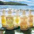 Island Soap & Candle Works Botanical Liquid Hand Soap - Vegan Luxury Skincare for Sensitive Skin - 8.5 Ounce