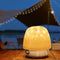 Thryonaxus Night Light & Bluetooth Noise Machine with Ocean Wave Projector, Speaker, Lampshade