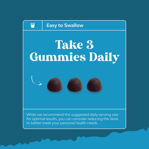 Calming Gummies for Adults with Ashwagandha and Magnesium - Relaxing Stress Gummies with L Theanine, 90 Count