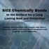 Stainless Steel Cleaner and Polish with Si02 Ceramic Sealer to Resist Fingerprints, Smudges, and Water Spots