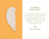 Shea Radiance P.U.R.E. Whipped Shea Butter with Colloidal Oatmeal, Lavender Bliss, 5 oz, Moisturizing Rice Bran Oil