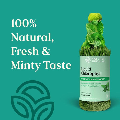 Immunity 16 Oz Nature's Sunshine Liquid Chlorophyll - Support, Detox & Cleanse, Chlorophyll Liquid Drops with Spearmint