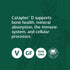Standard Process Cataplex D - Whole Food Immune Support, Digestive Health, Bone Strength with Cholecalciferol, Calcium