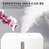Eucalyptus Essential Oil 2 Pack 10ml - Organic Pure Grade for Diffuser, Car, Candle Making, Cleaning, Bedroom,