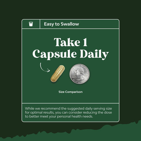 Potent Olive Leaf Extract Capsules - High Strength Antioxidant Supplement with 20% Oleuropein, Vegan Non-GMO, 1 Month