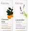 Clementine & Lavender Essential Oil Set - Aromatherapy Grade Essential Oils Set