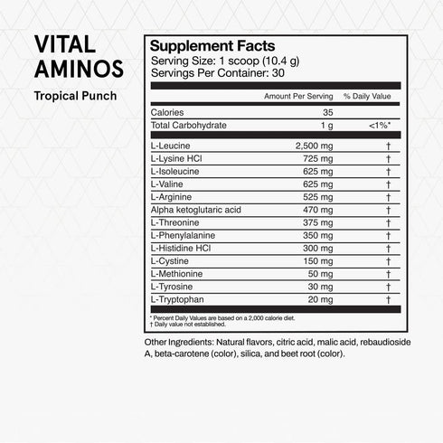 Momentous Vital Aminos Powder Supplement - BCAA & EAA, Tropical Punch, NSF Certified, 30 Servings