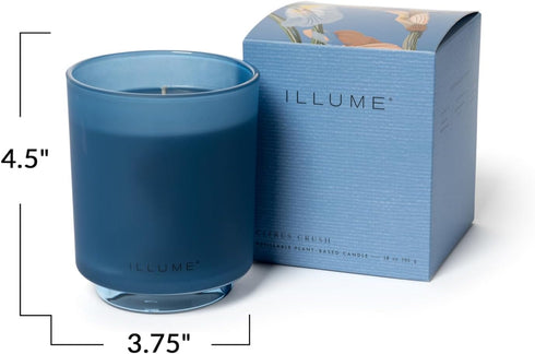 Illume Citrus Crush Scented Soy Candle - Beautifully Crafted Essentials