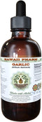Garlic Alcohol-Free Liquid Extract, Organic Garlic Dried Powder Glycerite, Hawaii Pharm, 2 oz