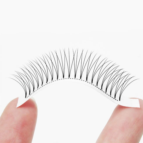 QUEWEL Premade Lash Fans, 3D Eyelash Extensions C/D Curl Pre Made Fans, 3D 0.10C MIX8-15