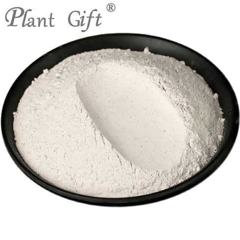 Plant Gift 100% 100G/3.25oz Pure Euryales Semen Powder Natural Gorgon Fruit Flour, Great Flavor for Drinks,Adds Flavor