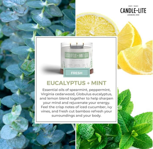 Essential Elements by Candle-lite Eucalyptus & Mint Leaf Scented Candle, 14.75 oz, 45 Hours Burn Time