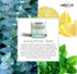 Essential Elements by Candle-lite Eucalyptus & Mint Leaf Scented Candle, 14.75 oz, 45 Hours Burn Time