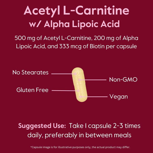 BESTVITE Acetyl L-Carnitine 500mg & Alpha Lipoic Acid 200mg per Capsule - 240 Vegetarian Capsules, Vegan, Non-GMO