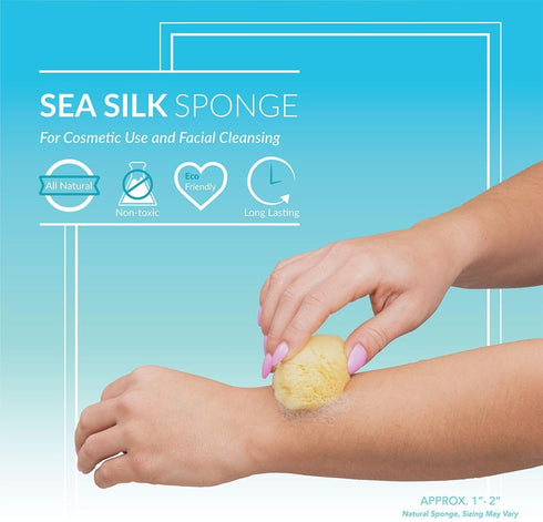 Sea Silk Sponge 6pc Kit, Hand Cut Small Sponges for Cosmetic Use and Facial Cleansing